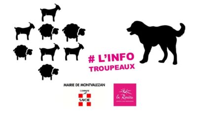 🐐🐏🐐 L’info TROUPEAUX – Ils sont où les patous ? 🐕