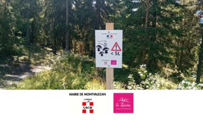 🍄🟫 Cueillette des champignons avec modération