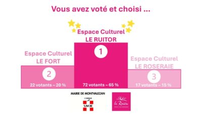 🎭 Le vote est clos… découvrez le nom que vous avez choisi !
