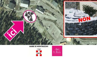 RAPPEL – Comment évacuer vos sapins de Noël ? 🎄